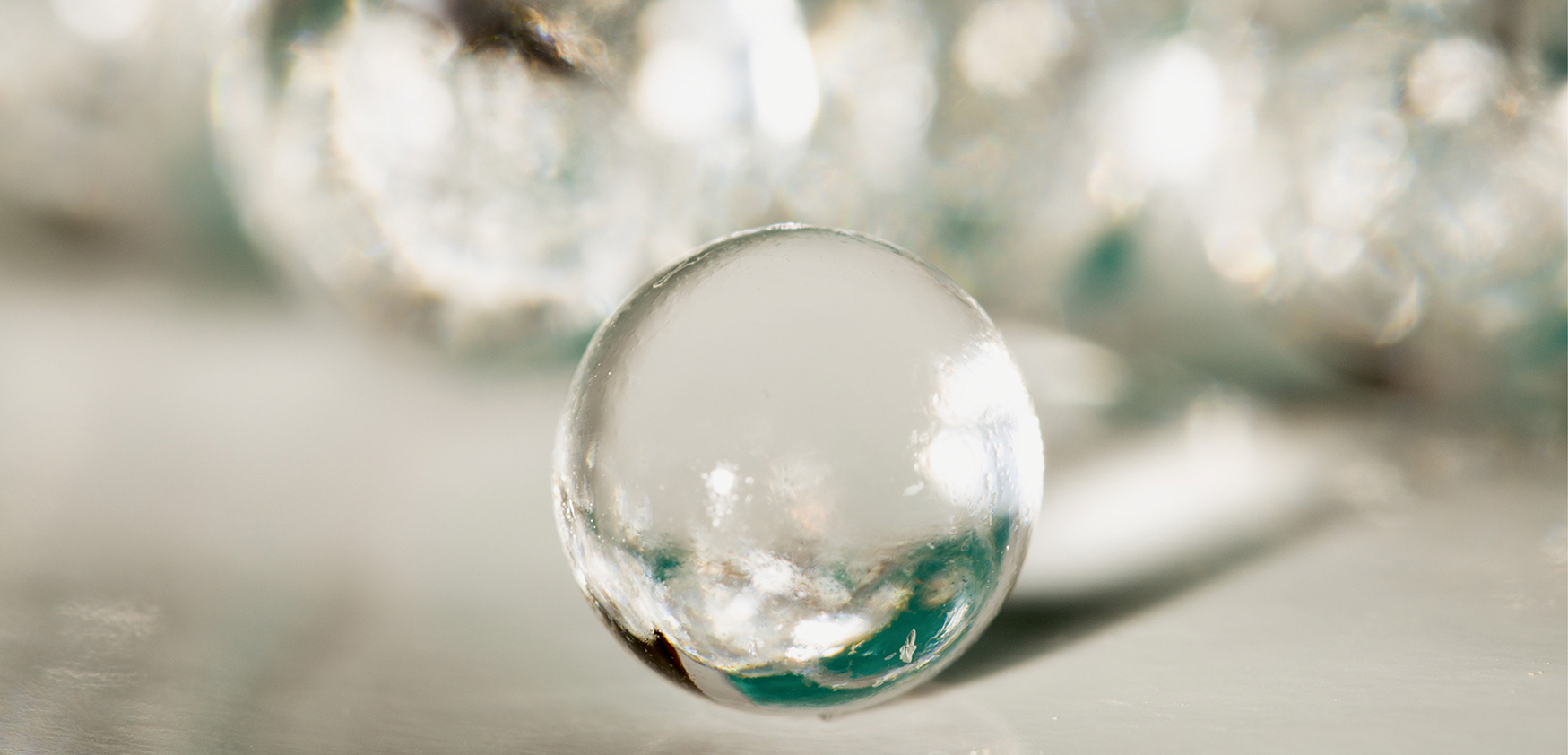 shutterstock_502879198_2